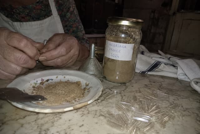 Le capsule di valeriana